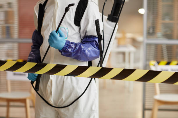 Professional Hoarding Cleanup technician working in Hull, IA